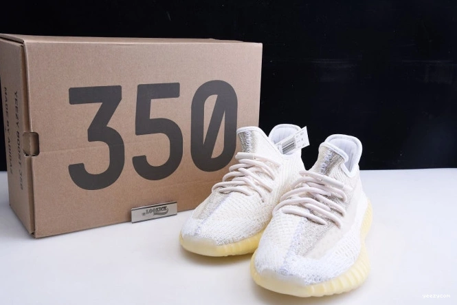REFLECTIVE ADIDAS 350 FZ5246 YEEZY BOOST V2 ABEZ 1011